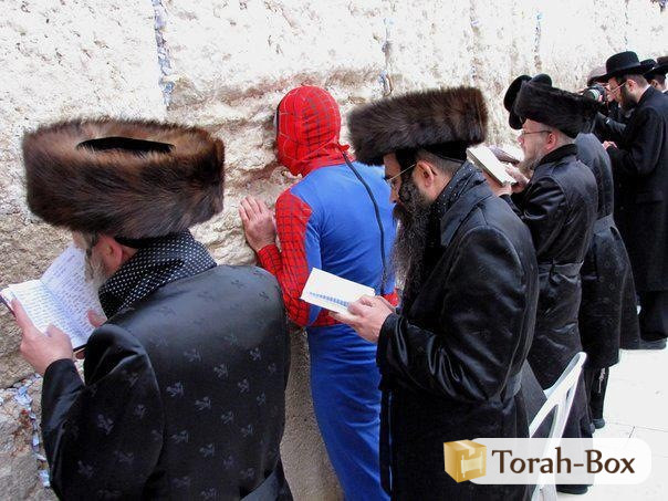 http://media.torah-box.com/pourim-insolite-spiderman-au-kotel-322.jpg