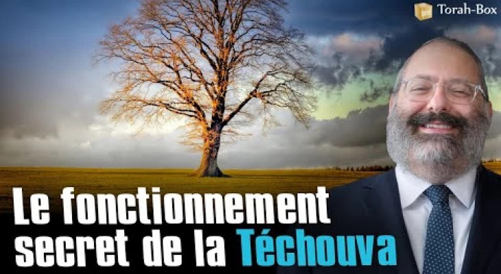 Le Fonctionnement Secret De La T Chouva