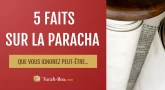 5 faits sur la Paracha Kédochim que vous ignorez (peut-être)
