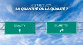613 Mitsvot - La quantité ou la qualité ?