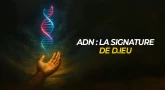 ADN : la signature de D.ieu