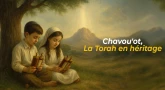 Chavou’ot – La Torah en héritage