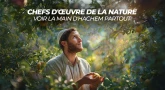 Chefs d'œuvre de la nature : voir la main d'Hachem partout