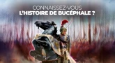 Connaissez-vous l’histoire de Bucéphale ?