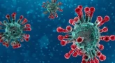 Coronavirus - Panique internationale… Et la Emouna dans tout ça ?