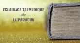 Éclairage talmudique sur la Paracha - Nitsavim