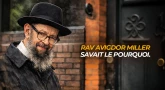 Einstein savait le comment. Rav Avigdor Miller savait le pourquoi.