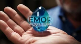 Emor : une pierre précieuse pour l’éternité