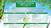 [Imprimer] Souccot : Comment choisir ses "4 espèces" ?