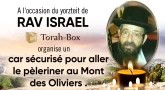 Pèlerinage de Rav Israël de Sarcelles au Mont des Oliviers