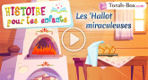 HISTOIRE POUR LES ENFANTS : Les 'Hallot miraculeuses