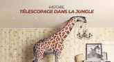 Histoire - Télescopage dans la jungle