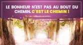 Image Confinement #27 : le bonheur n'est pas au bout du chemin...