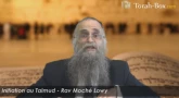 Initiation au Talmud en 20 leçons avec Rav Lowy !