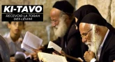 Ki-Tavo : comment recevoir la Torah des Léviim ?