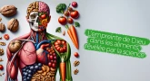 L’empreinte de D.ieu dans les aliments, révélée par la science