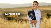La force des Mitsvot ! (Chavouot)