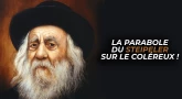 La parabole du Steipeler sur le coléreux !