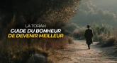 La Torah : guide du bonheur de devenir meilleur