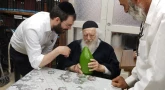Le Rav Kanievsky a reçu un Etrog exceptionnel pour Souccot