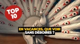 Miroir, Miroir - Top Ten : “En vacances, que voir, sans déboires…?”