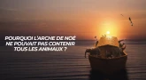 Paradoxe dans la Torah - Pourquoi l’arche de Noé ne pouvait pas contenir tous les animaux ?