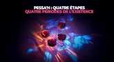 Pessa'h : Quatre étapes – quatre périodes de l’existence