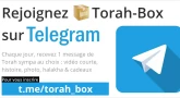 Rejoignez Torah-Box sur Telegram !