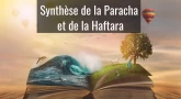 Synthèse de la Paracha et de la Haftara de Vezot Habérakha