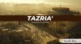 Résumé de la Paracha et de la Haftara de Tazria' - Metsora'