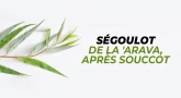 Ségoulot de la 'Arava, après Souccot