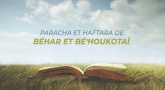 Synthèse de la Paracha et de la Haftara de Béhar-Bé'houkotaï