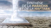 Synthèse de la Paracha et de la Haftara de Nasso