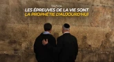 Tazria - Les épreuves de la vie sont la Prophétie d'aujourd'hui