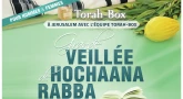 A Jérusalem : Veillée de Hochaana Rabba avec l'équipe Torah-Box !