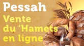 Vendez votre 'Hamets par Internet en 1 clic