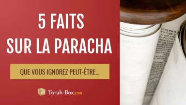 5 faits sur la Paracha Vayichla'h que vous ignorez (peut-être)