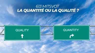 613 Mitsvot - La quantité ou la qualité ?