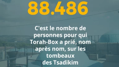 88.486 prières pour vous auprès des Tsadikim