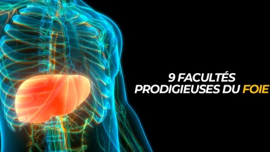 9 facultés prodigieuses du foie