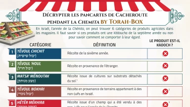 [A imprimer] Fiche-pratique : Décrypter les pancartes de Cacheroute pendant la Chemita