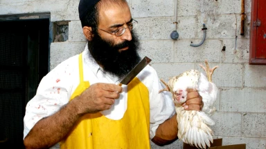 Si tu fais le bien que donnes-tu à D.ieu ? Le sens des Mitsvot...