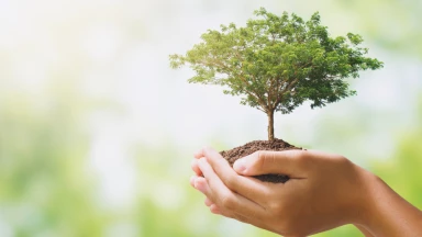 Vayéchev – La jeunesse d’esprit de Yossef