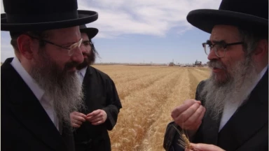 L'Admour de Satmar surveille le blé des Matsot !