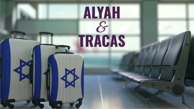 Alyah & Tracas : Avi l'imprévisible