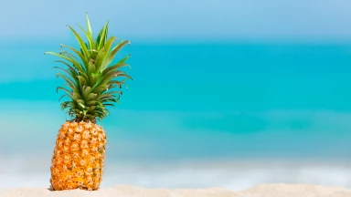 On kiffe sa vie dans la maîtrise de ses pulsions