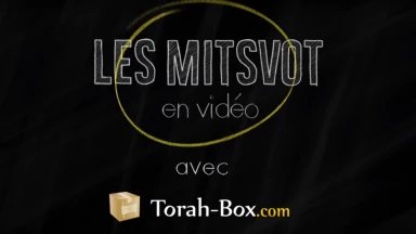 Les Mitsvot en vidéo : Les Bénédictions avant et après manger !