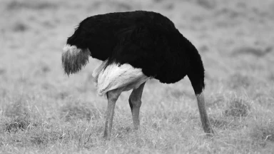 Ékev - Comment gérer une épreuve ?