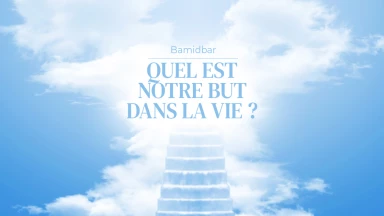 Bamidbar - Quel est notre but dans la vie ?