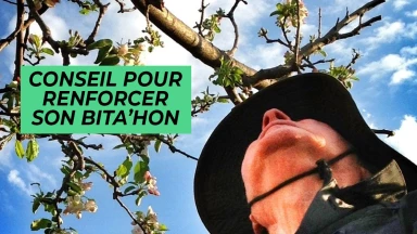 Bé’houkotaï : conseil pour renforcer son Bita’hon